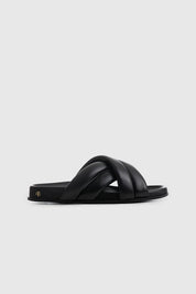 Lizzie Slides