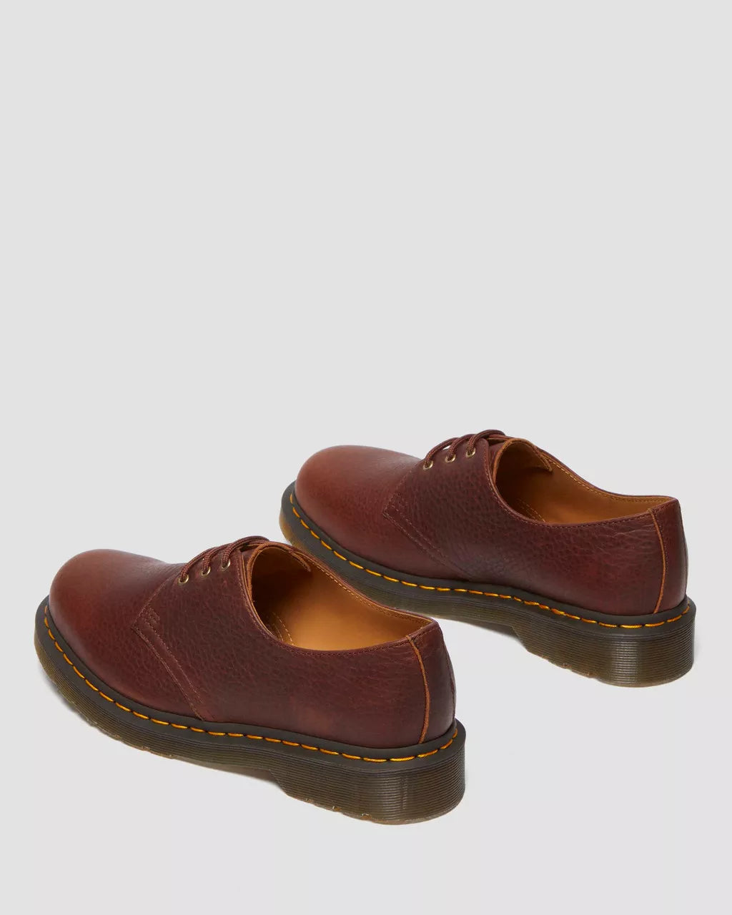 1461 Cashew Ambassador