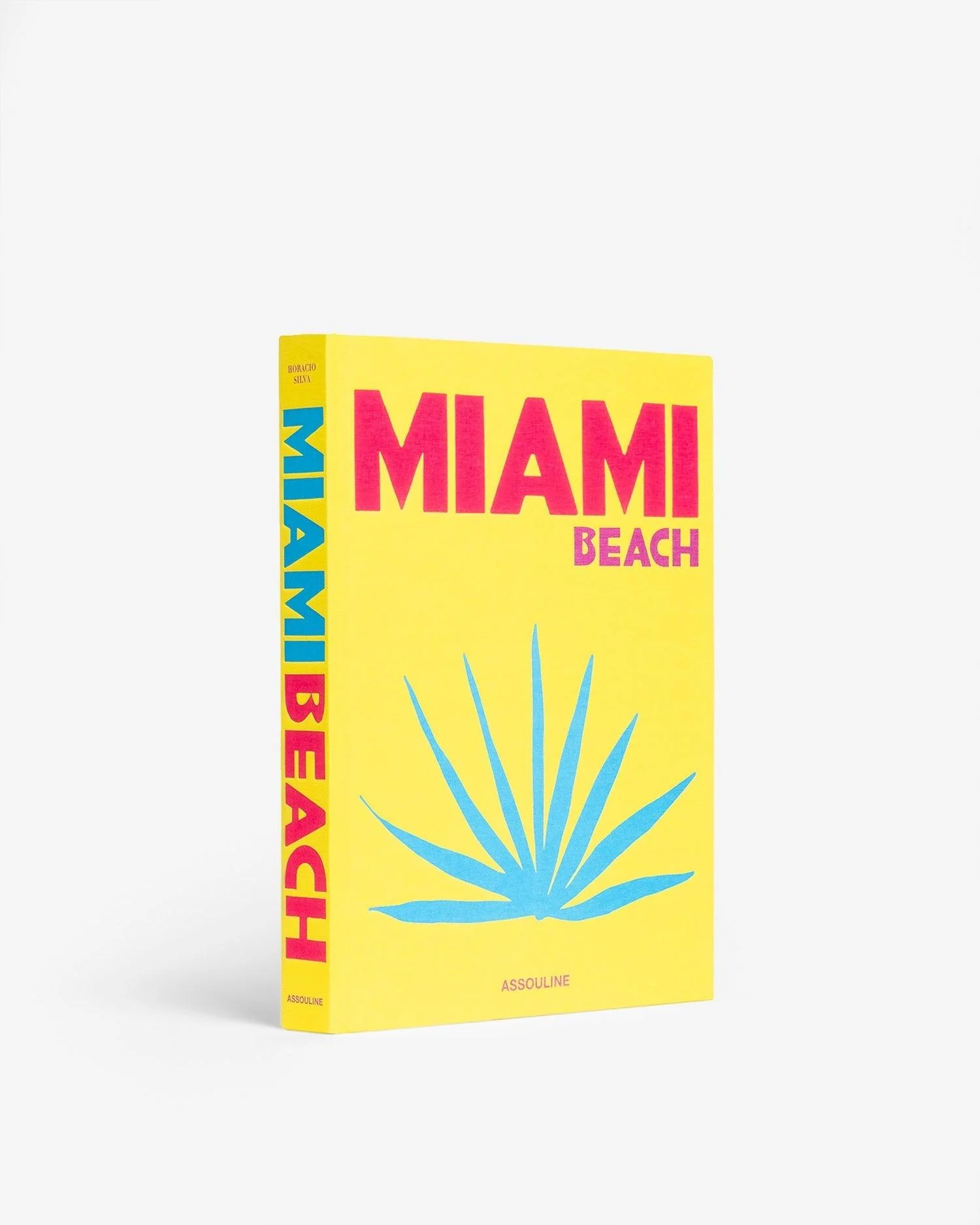 MiamiBeach-01.png
